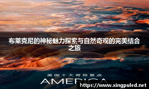 金年会金字招牌